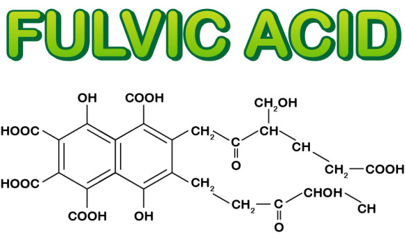 Cấu trúc phân tử của Acid Fulvic